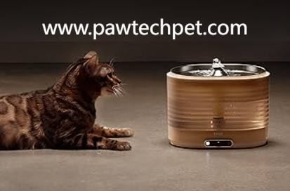 Can Pawtechpet Intelligent Pet Water Dispenser Enhance Daily Care